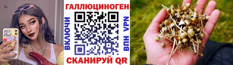 Псилоцибиновые грибы Magic Shrooms  Купить где  Лабинск 